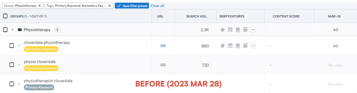 Clover Hills Rehabilitation: Google search rankings before our work