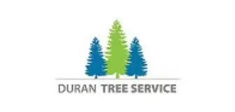 Duran Tree Service logo (tree service, Hillsboro, OR, US), a Coding Bull client